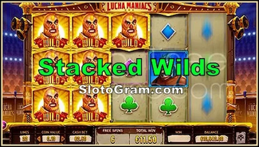 Stacked Symbols Wilds in online casino slot machines is in the photo.