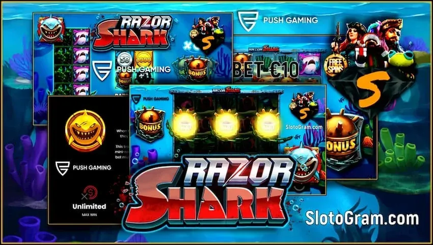 슬롯 개요 Razor Shark (2021) + 카지노에서 100 FS VAVADA 사진이 있습니다.